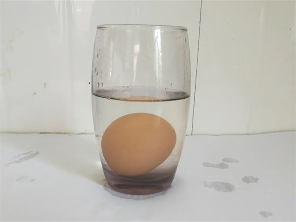 盐水浮鸡蛋的原理是什么?鸡蛋在盐水中浮起来的原理！